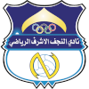 Al-Najaf logo
