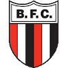 Botafogo Ribeirao Preto II logo