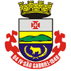 Esporte Clube Sao Gabriel logo