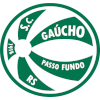 Gaucho Passo Fundo logo