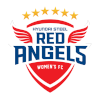 Hyundai Steel Red Angels (Women) logo