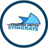 Illawarra Stingrays (Women) logo