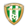 Illes Akademia-Haladas U19 logo