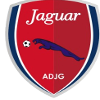 Jaguar Pernambuco logo