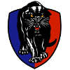 South Adelaide Panthers logo