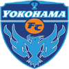 Yokohama Seagulls (Women) logo